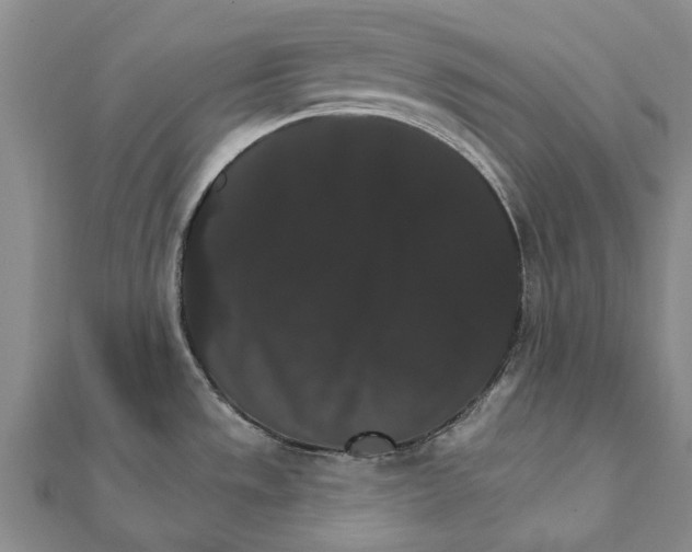 X0000111801533200908201142