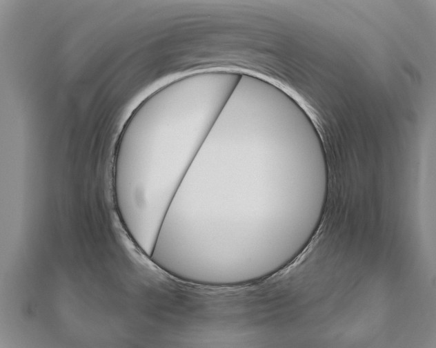 X0000111801534200908201142