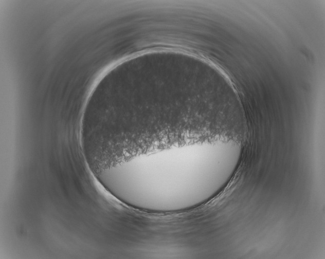 X0000111801535200908201142