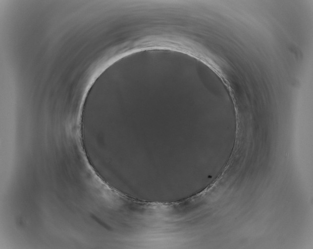 X0000111801536200908201142