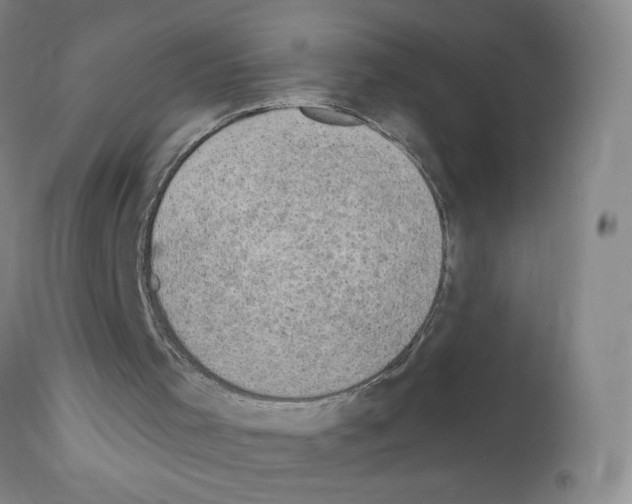 X0000111800001200909031240