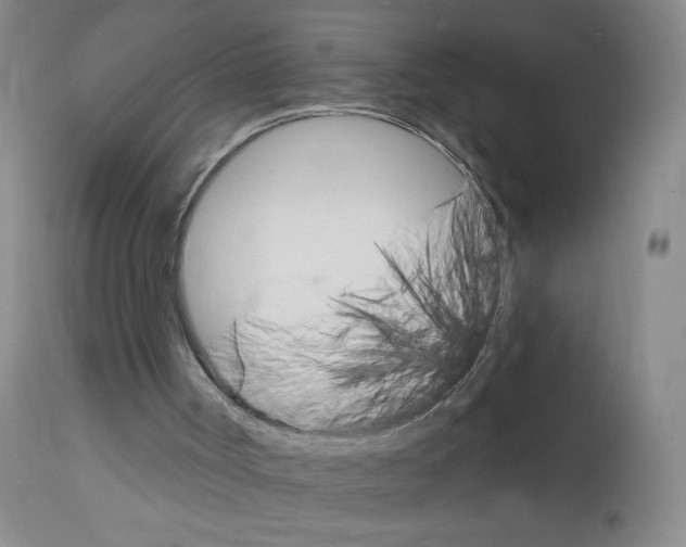 X0000111800002200909031240