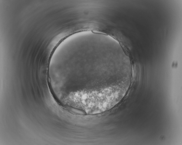 X0000111800003200909031240