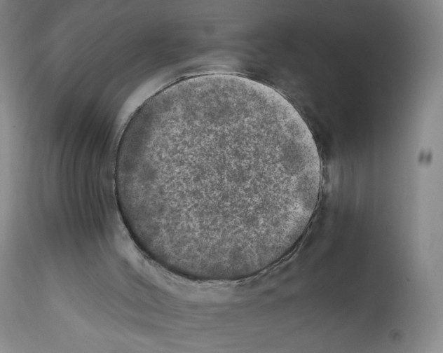 X0000111800004200909031240