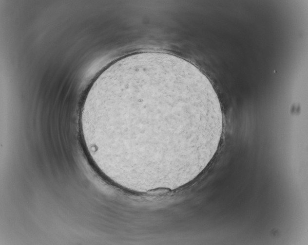 X0000111800005200909031240