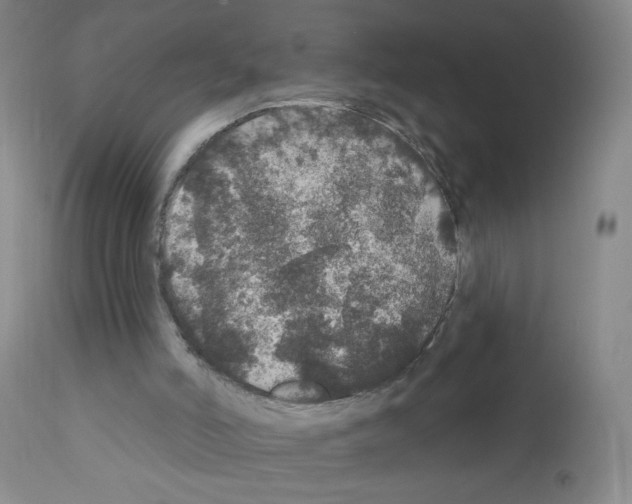 X0000111800006200909031240