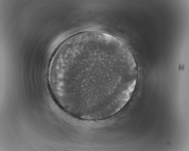 X0000111800007200909031240
