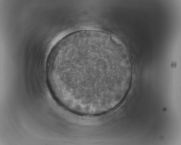 X0000111800008200909031240
