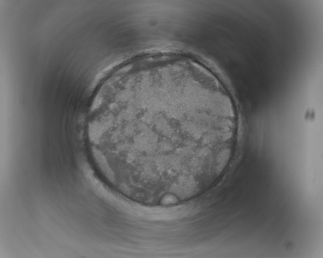 X0000111800010200909031240