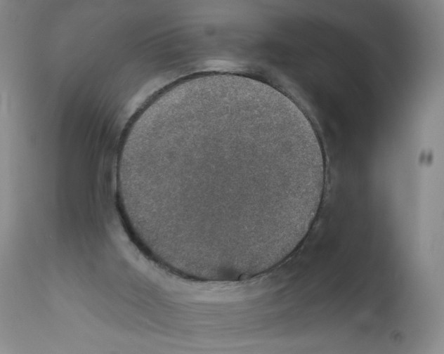 X0000111800011200909031240