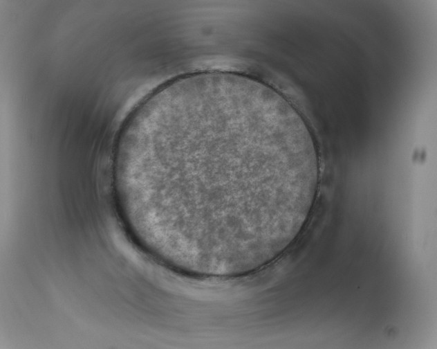 X0000111800012200909031240