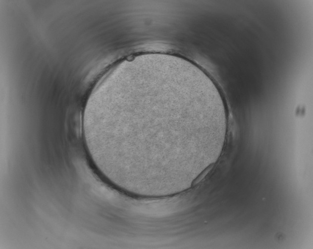 X0000111800013200909031240