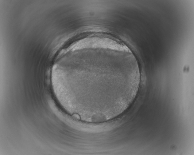 X0000111800014200909031240