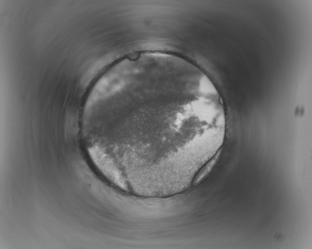 X0000111800015200909031240