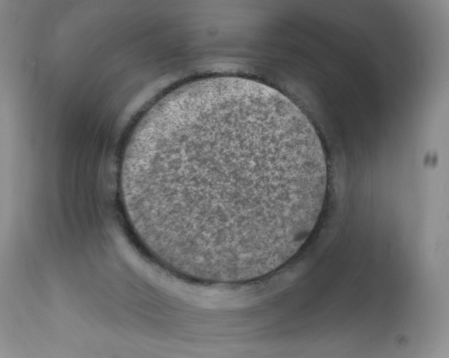 X0000111800016200909031240