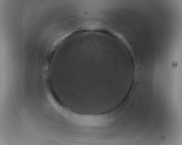 X0000111800018200909031240