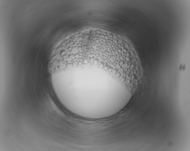 X0000111800020200909031240