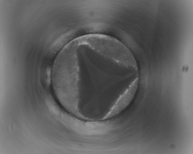 X0000111800022200909031240