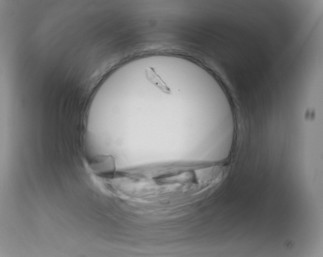 X0000111800023200909031239