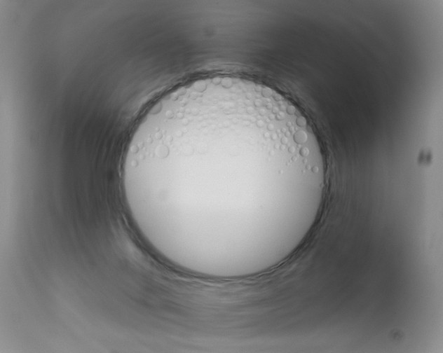 X0000111800024200909031239