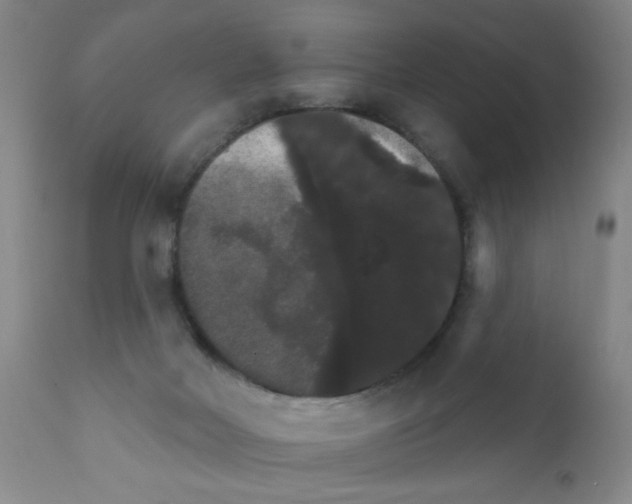 X0000111800026200909031239