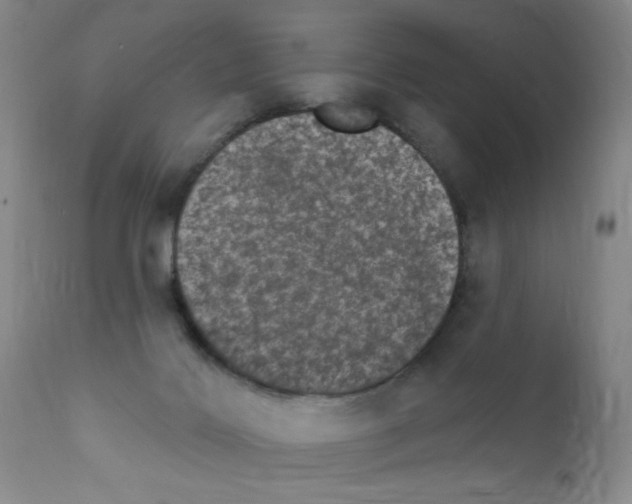 X0000111800028200909031239