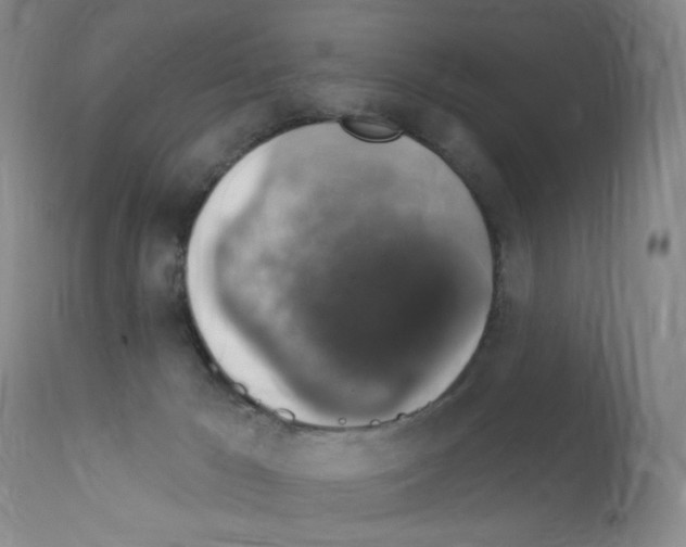 X0000111800029200909031239