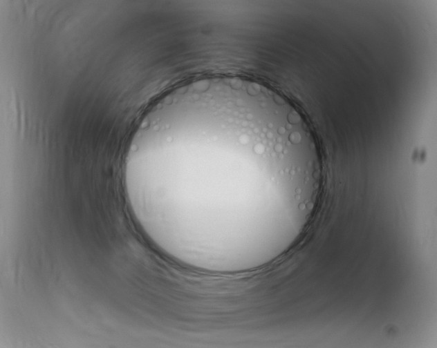 X0000111800032200909031239