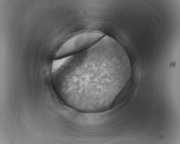 X0000111800033200909031239