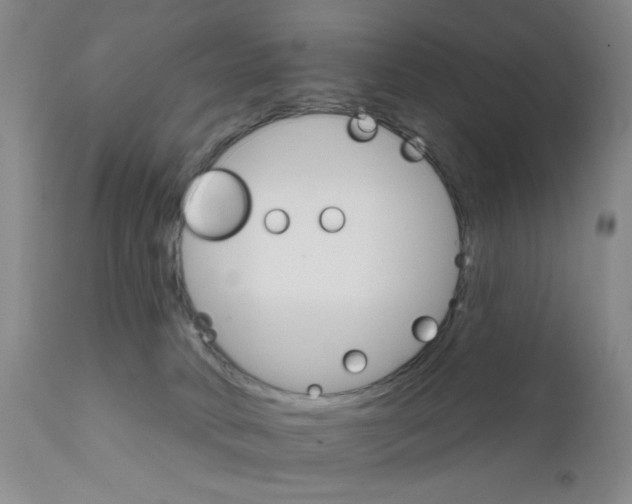 X0000111800034200909031239