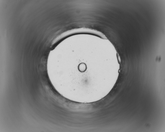 X0000111800036200909031239
