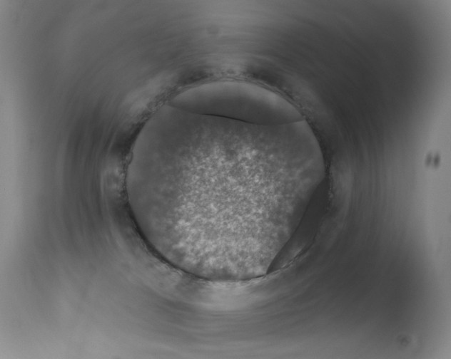 X0000111800037200909031239