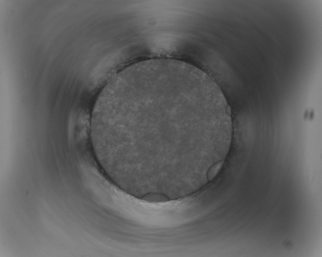 X0000111800038200909031239