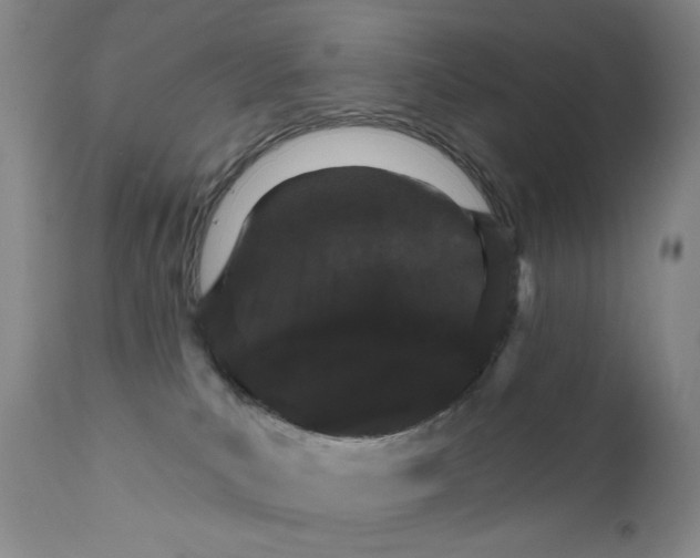 X0000111800039200909031239