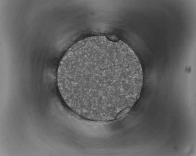 X0000111800040200909031239