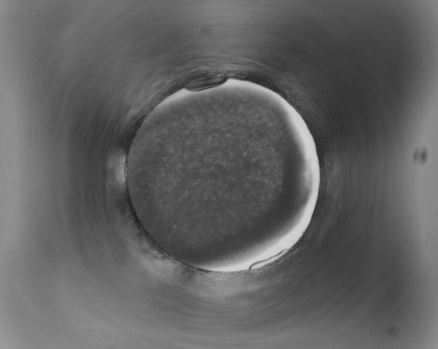 X0000111800041200909031239