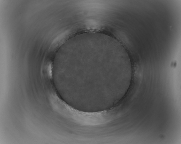 X0000111800042200909031239