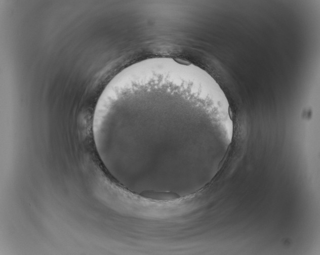 X0000111800043200909031239
