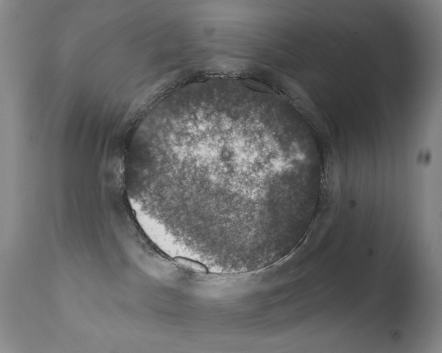 X0000111800045200909031239