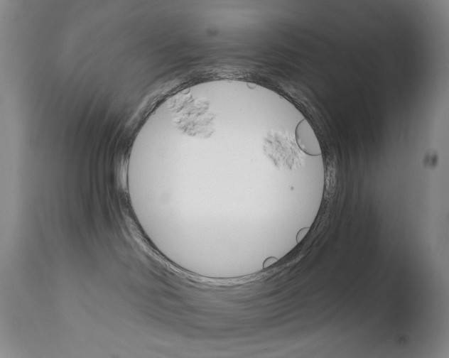 X0000111800046200909031239