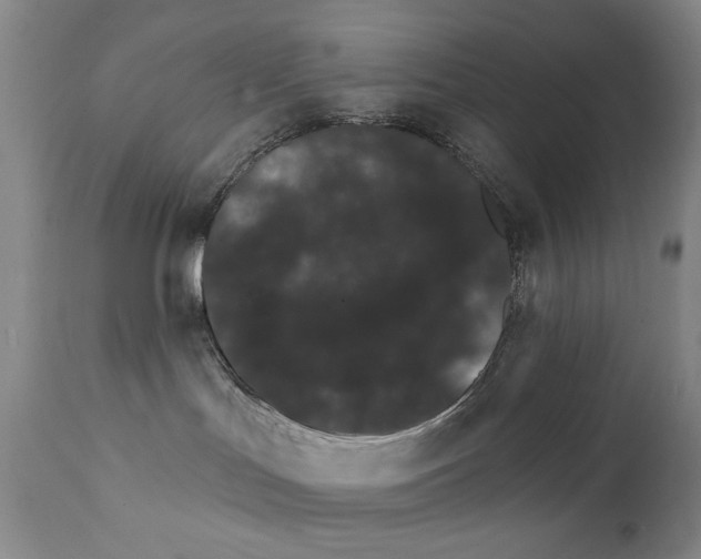 X0000111800047200909031239