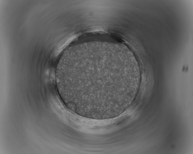 X0000111800048200909031239