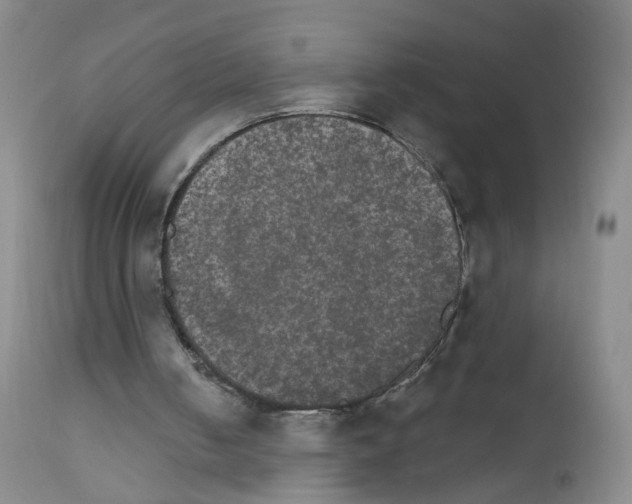 X0000111800050200909031238