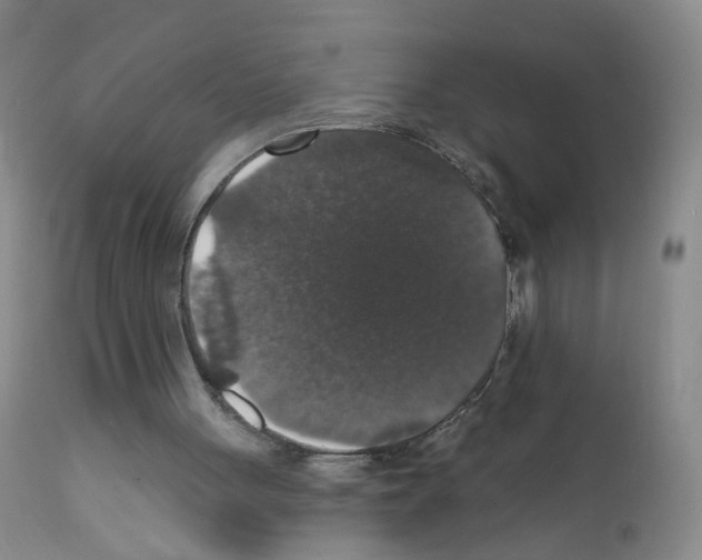X0000111800051200909031238