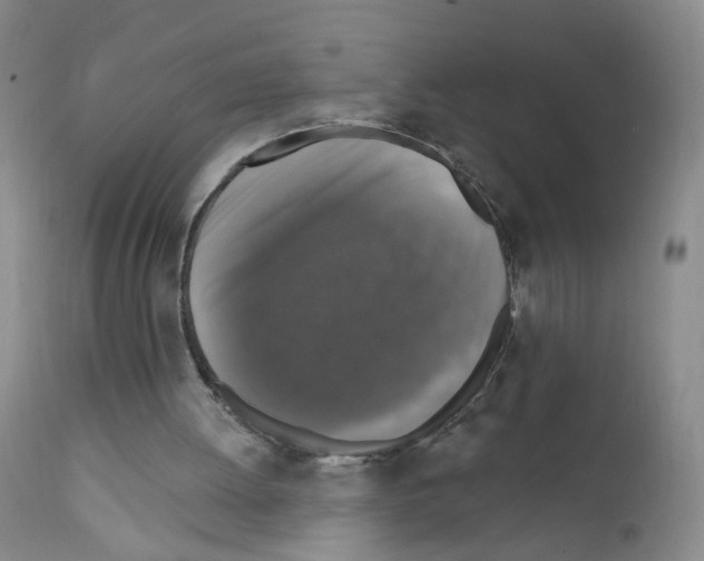 X0000111800052200909031238