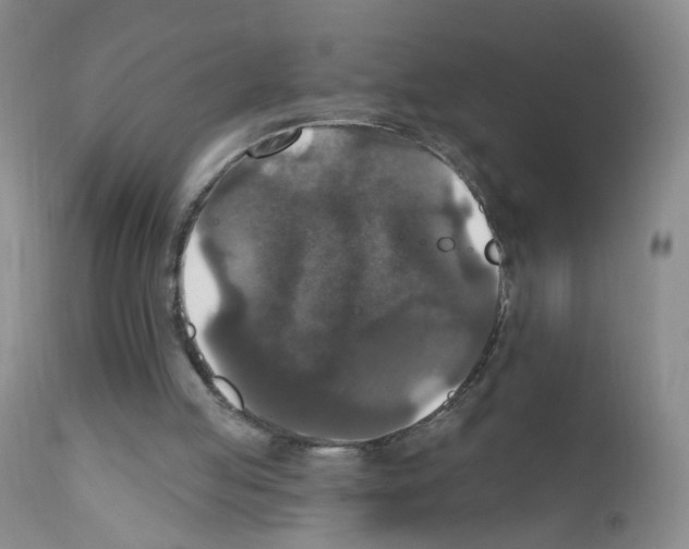 X0000111800053200909031238