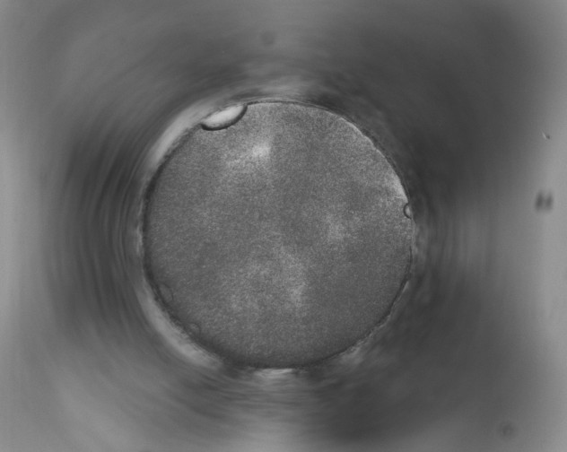 X0000111800054200909031238