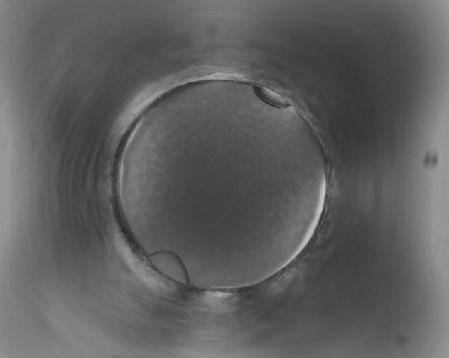 X0000111800055200909031238