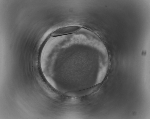 X0000111800056200909031238
