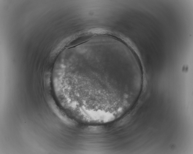 X0000111800057200909031238